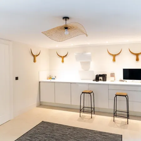 Charmante Petite Indépendante Avec Grande Terrasse Privée Appartement Antibes